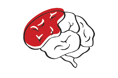 Animated graphic illustration of a black and white brain and a red color highlighting each lobe individually in a clockwise direction.