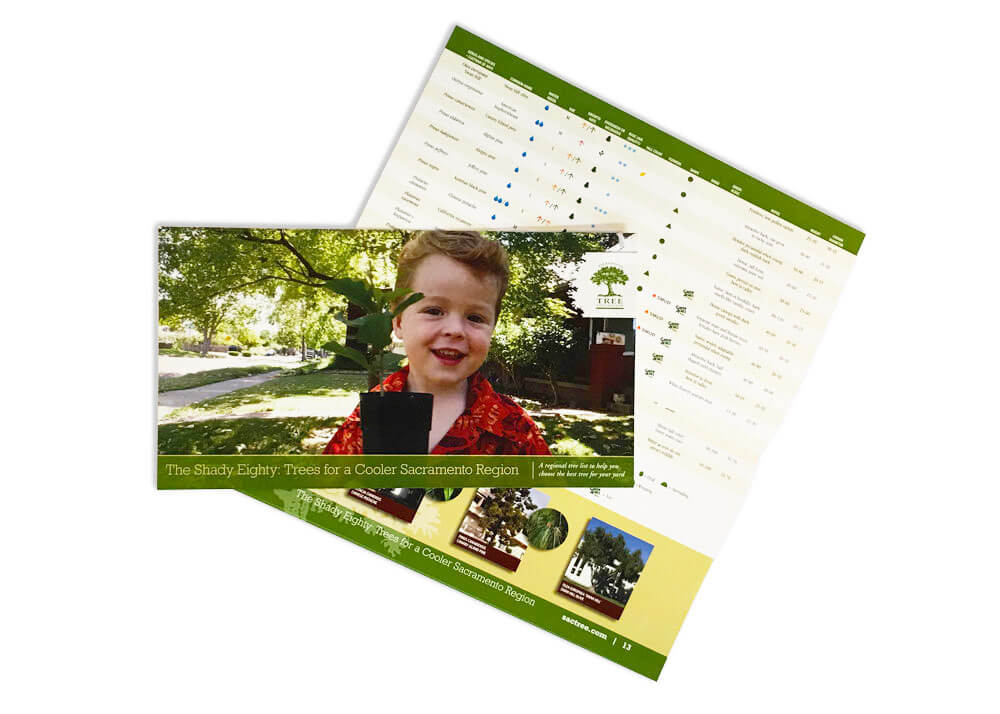 Full-color insert in mostly green and yellow with a visual chart on the inside and an image of a young boy holding a plant on the outside. The words on the front read, 'The Shady Eighty: Trees for a Cooler Sacramento Region'.