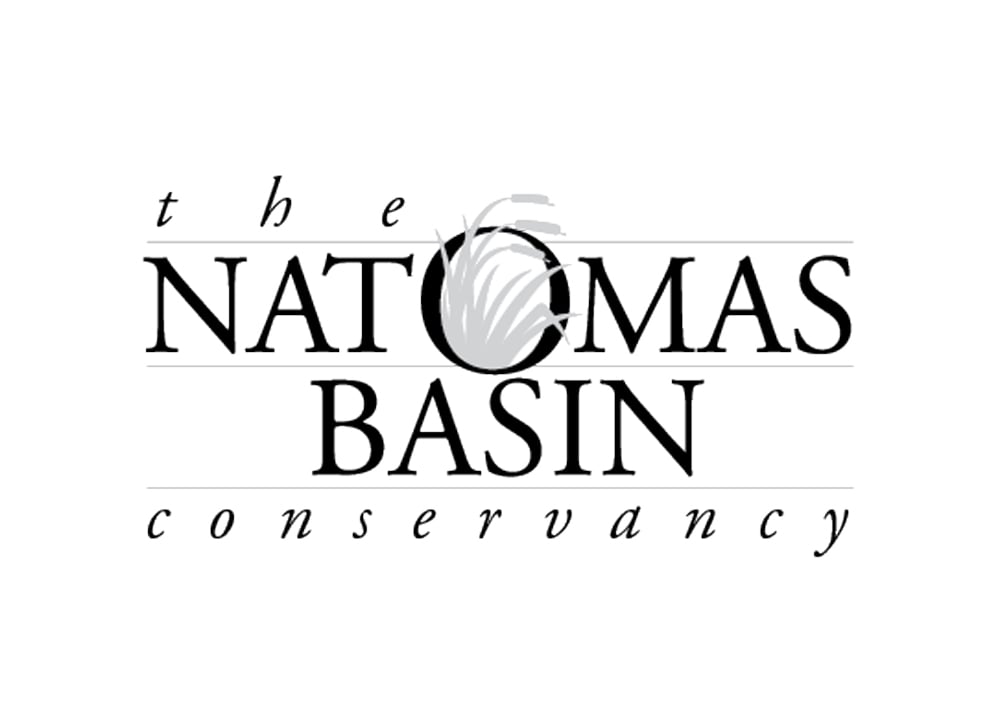 TNBC logo