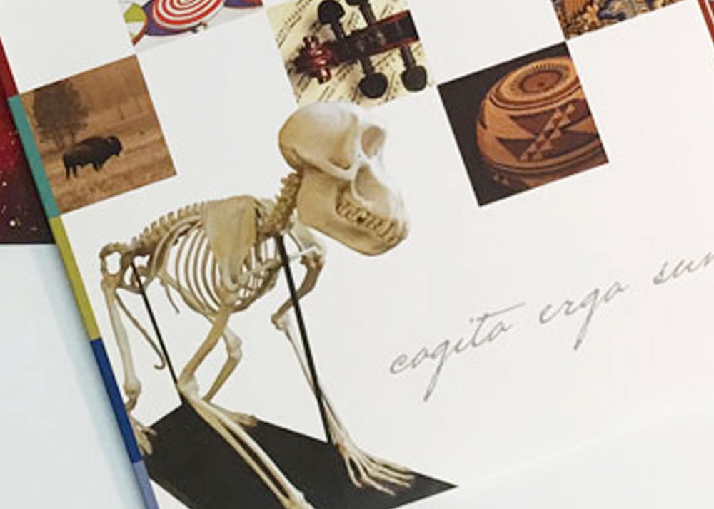 Close-up of a portion of the cover of a folder. The focal point is a skeleton of an animal.