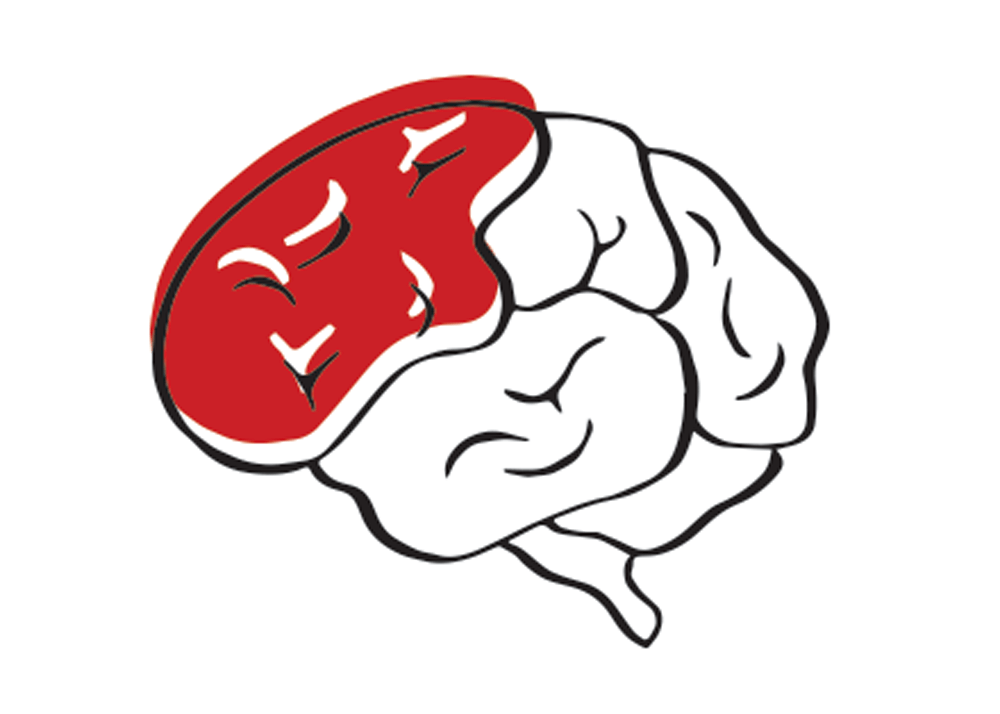 Graphic illustration of the side view of the brain, with one of the lobes colored in with red.